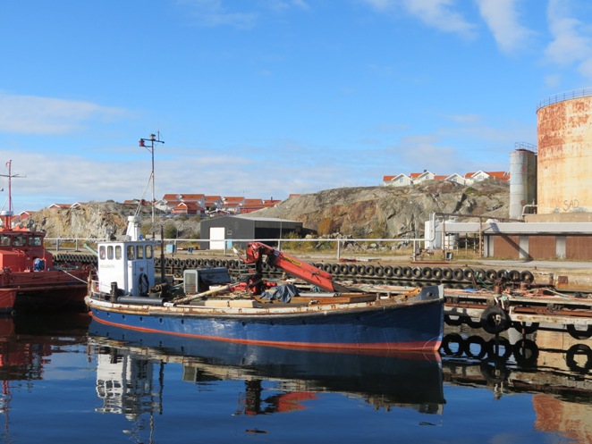 Sjöh&auml;sten 2012